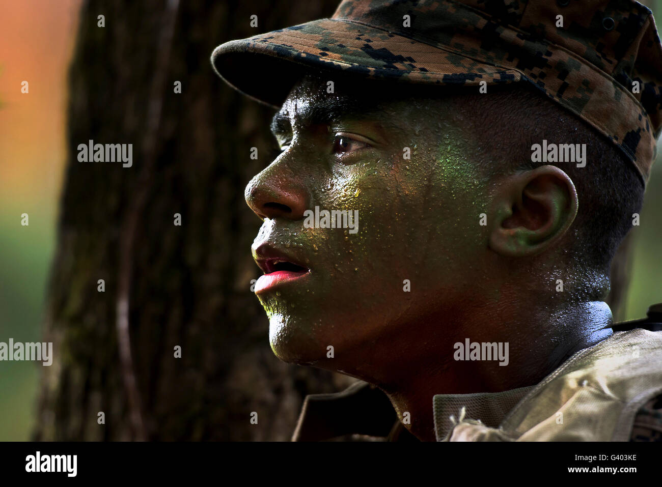 Un bataillon d'infanterie étudiant Formation cherche un ennemi dans les arbres proches. Banque D'Images