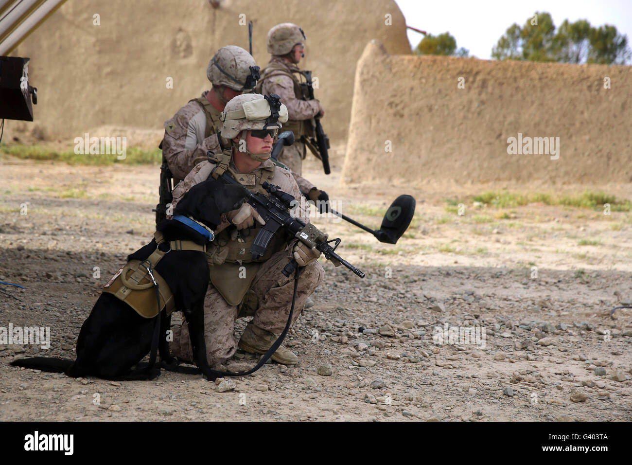 Un maître-chien fournit la sécurité avec son chien ID à ses côtés. Banque D'Images