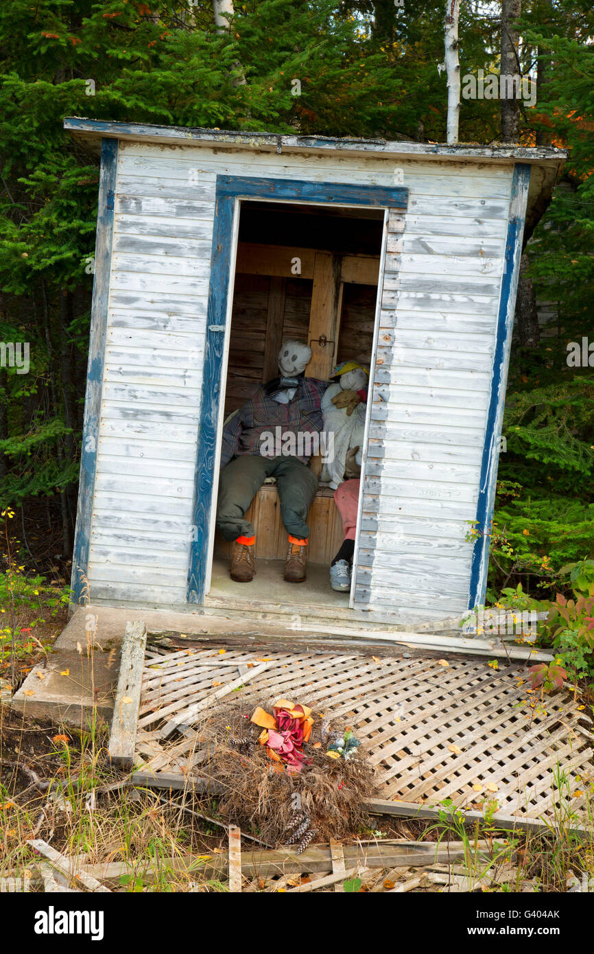 Outhouse ruines avec les nuls, Superior National Forest, Minnesota Banque D'Images