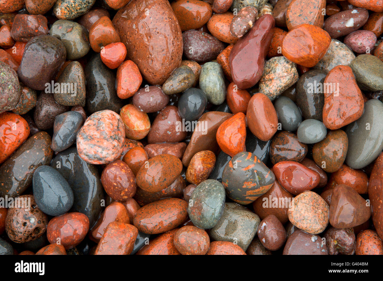 Plage de galets, l'établissement Sugarloaf Cove State Natural Area, au Minnesota Banque D'Images