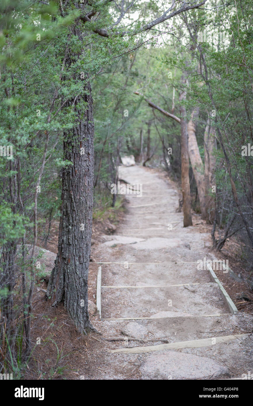 Parc national de Freycinet, Tasmanie, Australie Banque D'Images