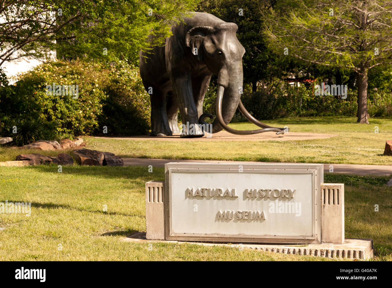 Natural History Museum à Dallas, Texas Banque D'Images