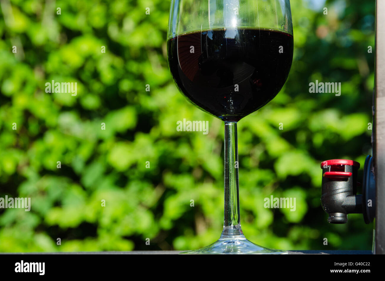 Un verre de vin rouge et d'une grue dans un sac dans le fort à l'extérieur dans un jardin ensoleillé Banque D'Images