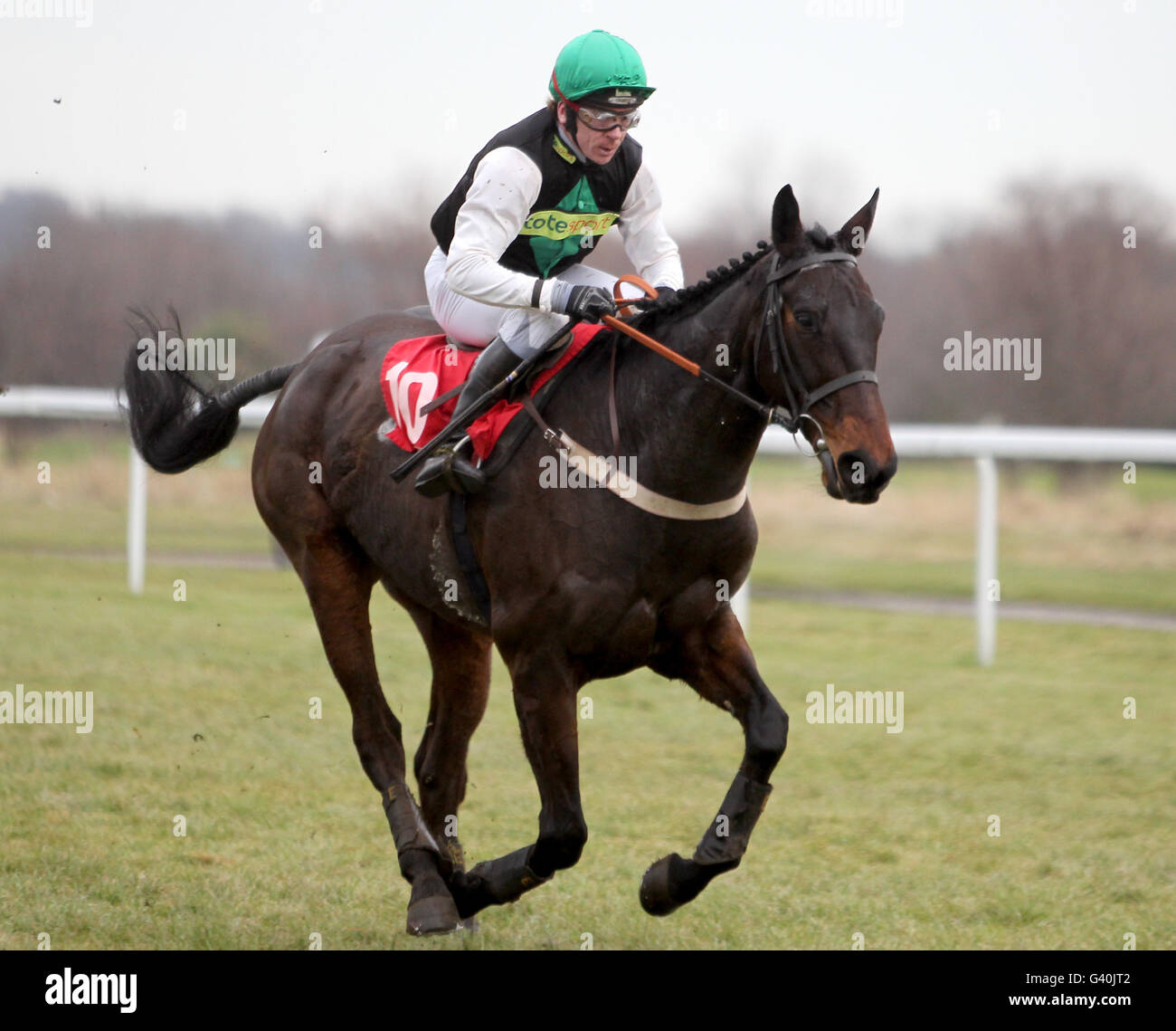 Northwold monté par Jockey Jimmy McCarthy dans la radio du Yorkshire soutient l'obstacle des débutants de Yorkshire Racing (Div 2). Banque D'Images