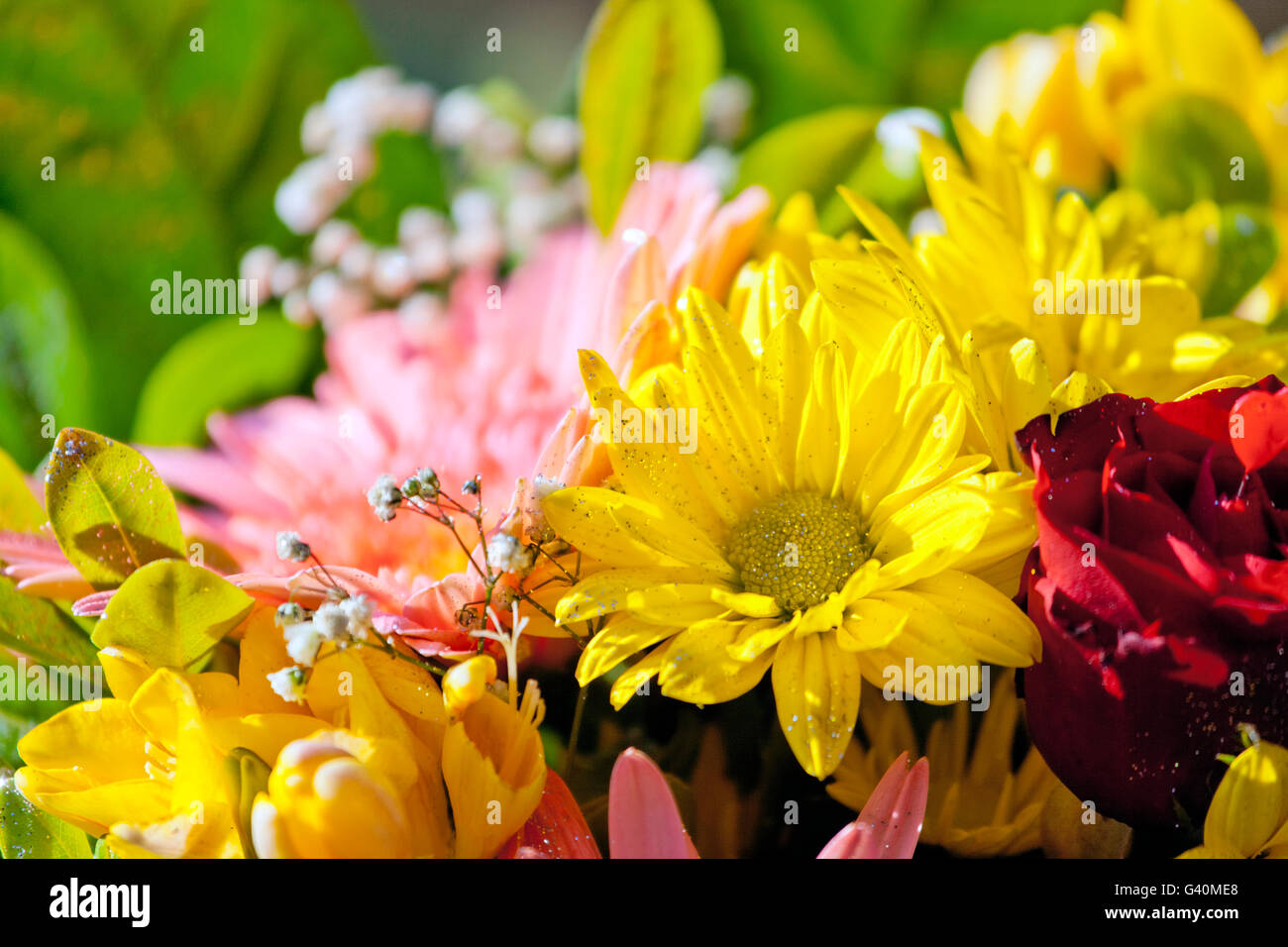 Bouquet de fleurs Banque D'Images