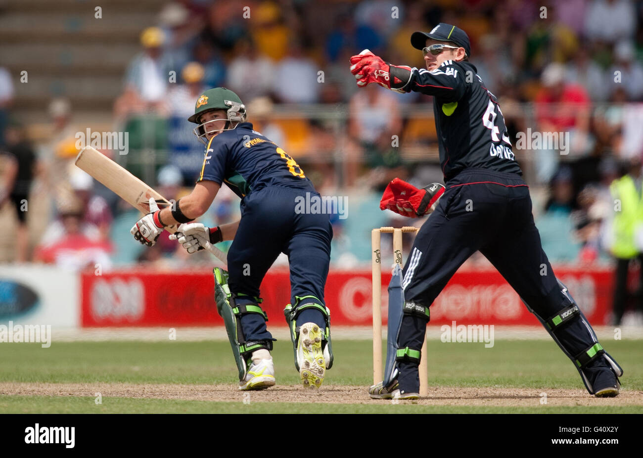 Les chauves-souris Tim Paine du Premier ministre XI ont regardé Steve Davies, en Angleterre, pendant le match de tournée à l'ovale Manuka, à Canberra, en Australie. Banque D'Images