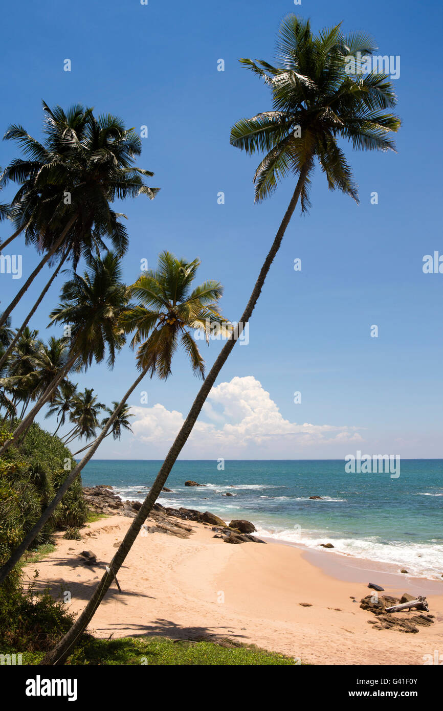 Sri Lanka, Hambantota, Tangalle, côte sud vide plage bordée de palmiers tropicaux Banque D'Images