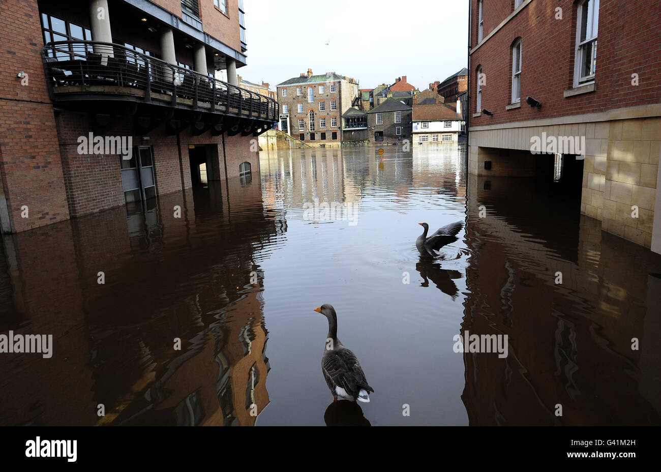 Riverside Streets dans le centre de York aujourd'hui alors que la rivière Ouse continue de s'élever à la suite de fortes pluies. Banque D'Images