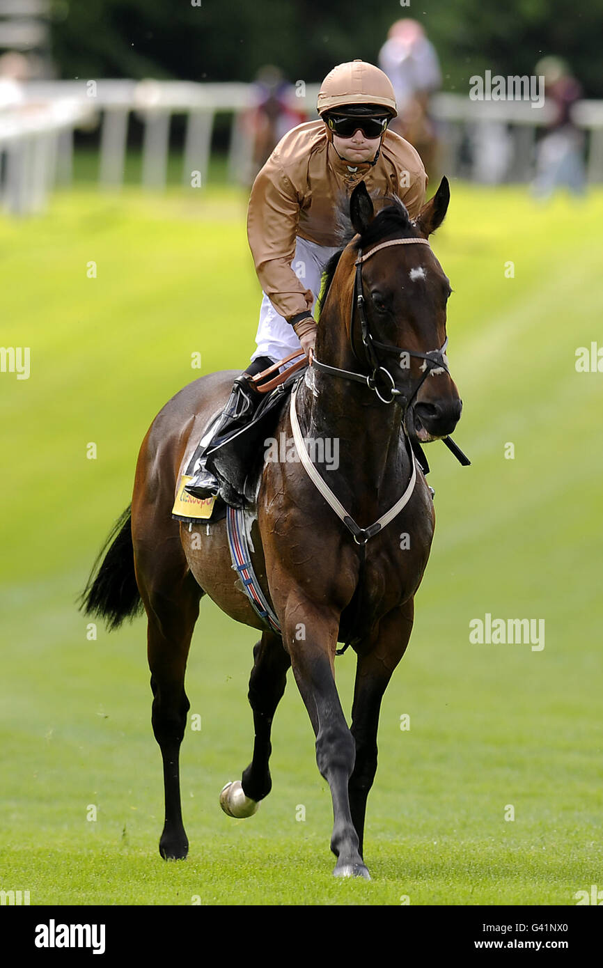 Courses hippiques - Totepool Irish Day - Hippodrome de Sandown.Tout sur vous monté par le jockey Liam Jones aller à la poste avant les totescoop6 handicap piquets Banque D'Images