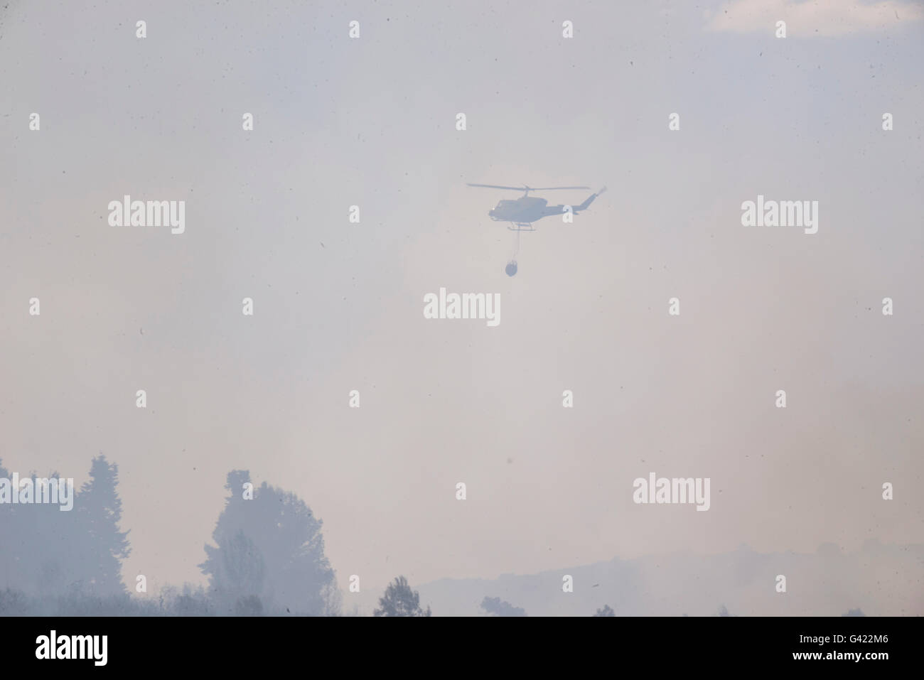 Carcaixent, Valence, Espagne. 17 Juin, 2016. hélicoptère volant à travers la fumée dans l'incendie de forêt dans le terme de Carcaixent, Valence, Espagne. Credit : Salva Garrigues/Alamy Live News Banque D'Images