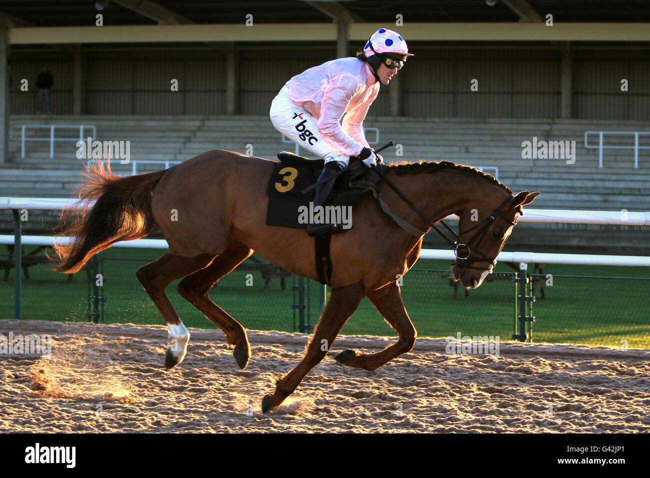 Jockey Tony McCoy sur I CAN Run pouvez-vous aller À poster pour l'adhésion de Southwell Golf Club handicap Barre de suspension Banque D'Images