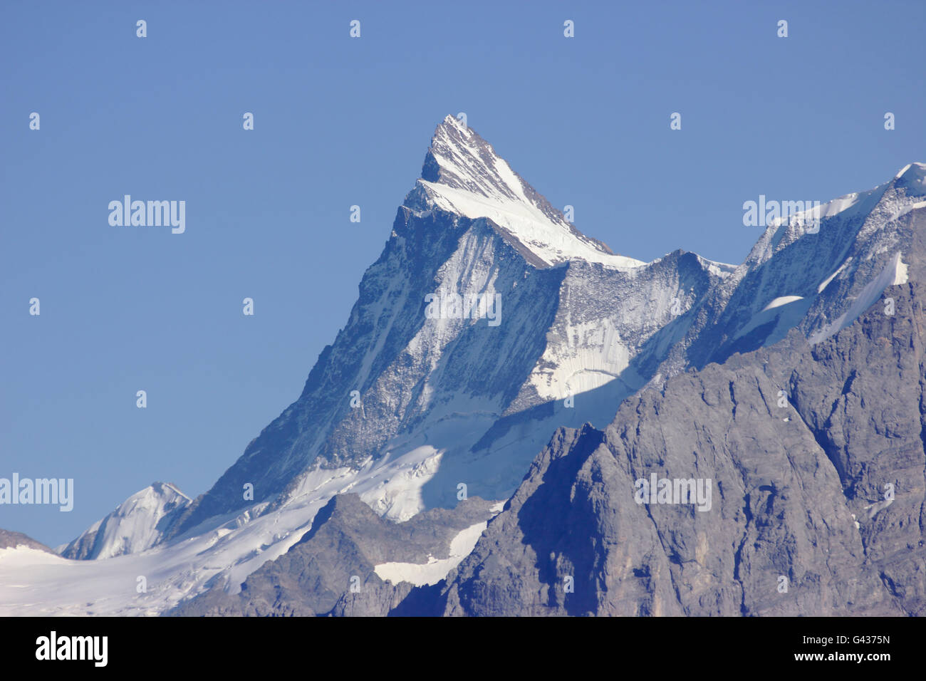 Finsteraarhorn Alpes Bernoises de l emplacement pr s de Faulhorn
