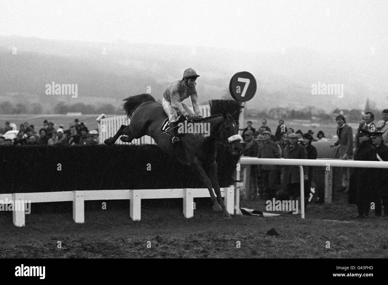 - Courses de chevaux - Festival de Cheltenham Cheltenham Gold Cup - l'Hippodrome de Cheltenham Banque D'Images