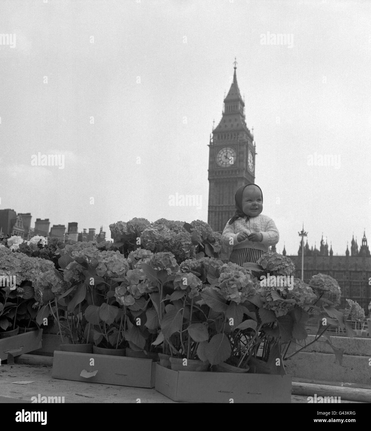 Image - Princess Margaret et Antony Armstrong-Jones Mariage - Londres Banque D'Images