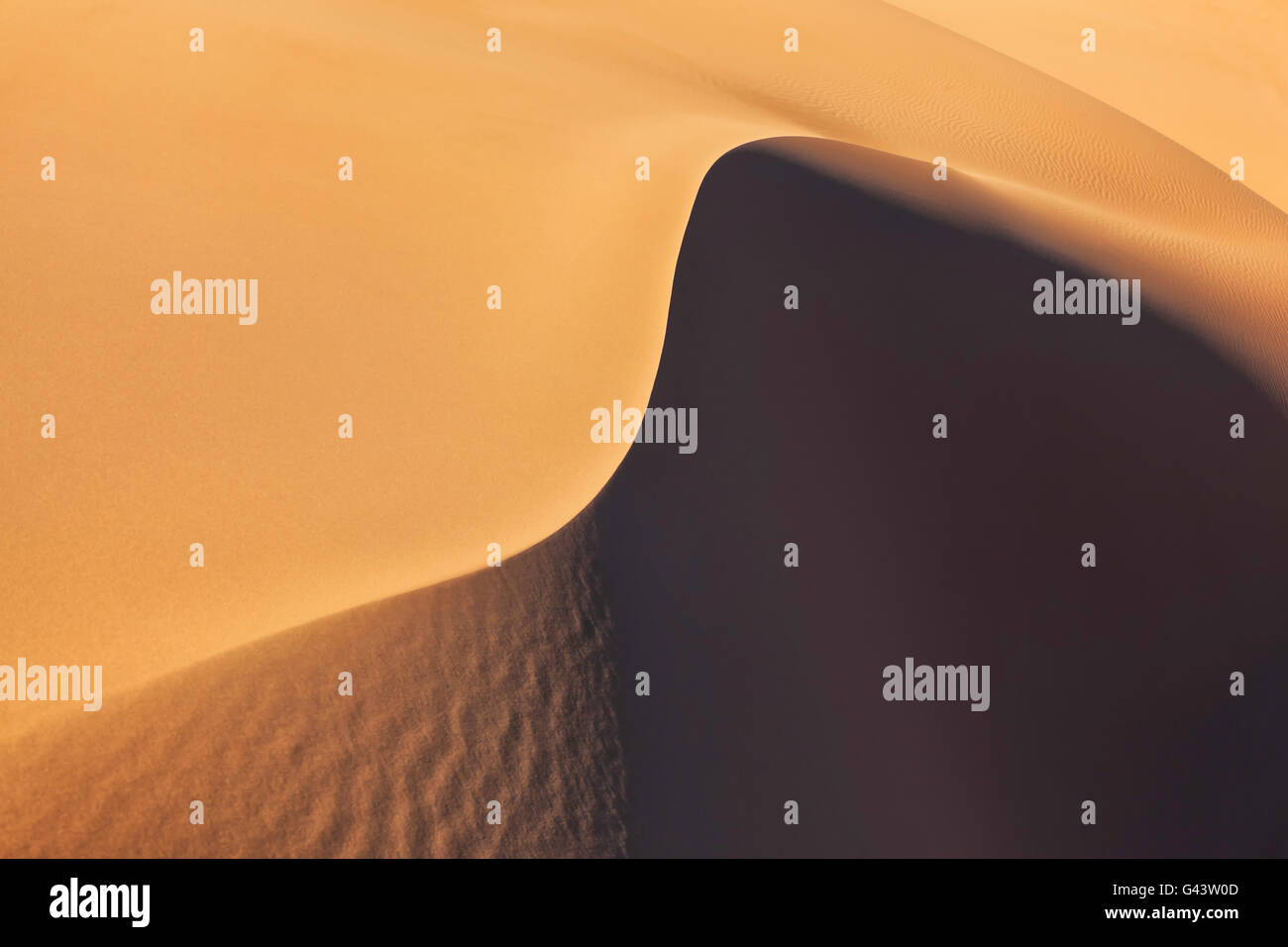 Dunes de sable du désert du Sahara. Banque D'Images