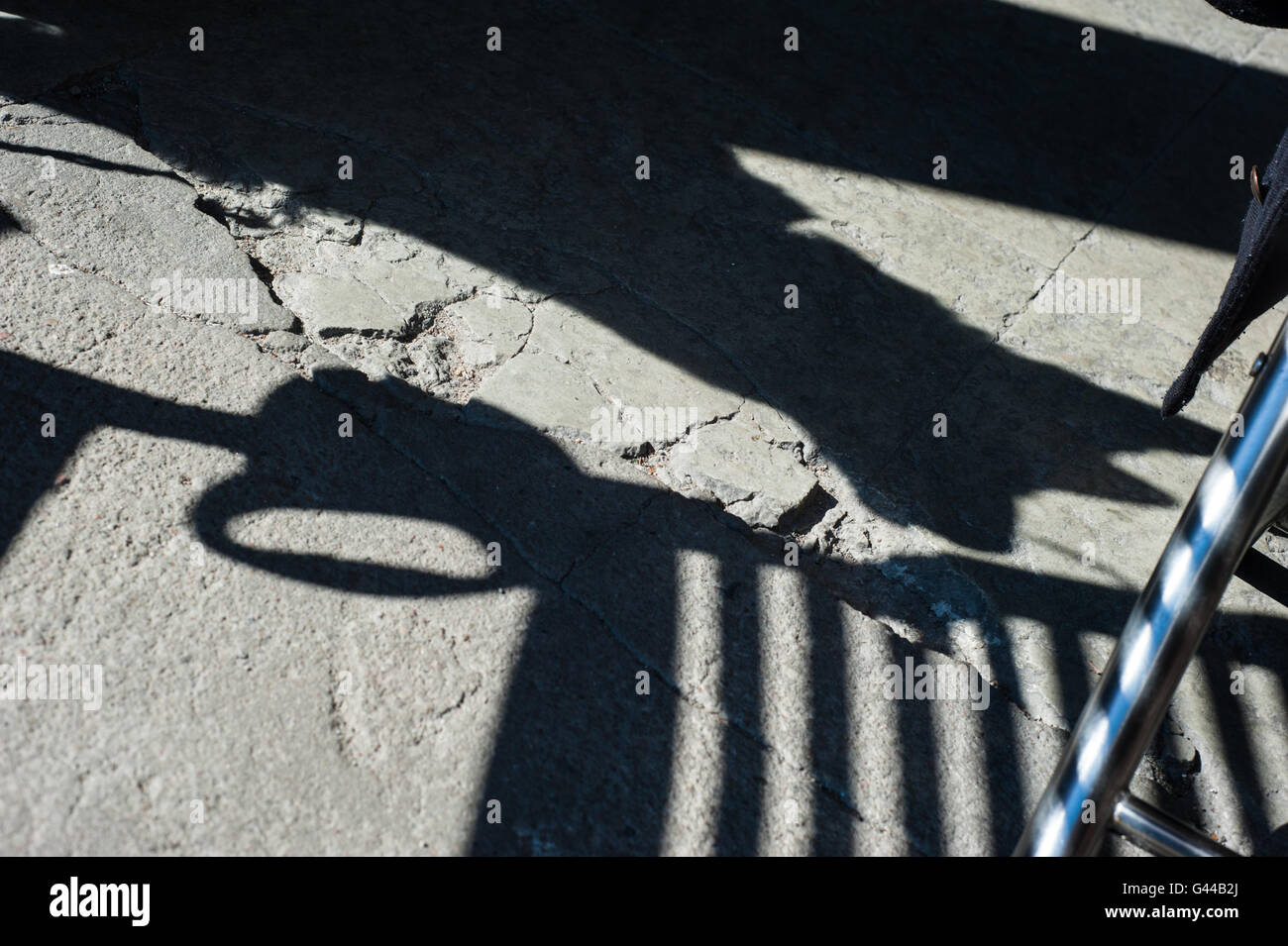 Chien ombre sur une terrasse de café dans le centre-ville de Tallinn Banque D'Images