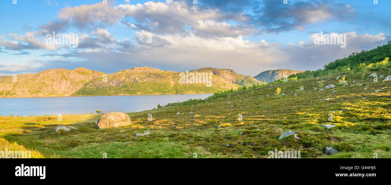 Coucher du soleil sur le sommet d'une colline, près de la rive d'un lac norvégien en été Banque D'Images