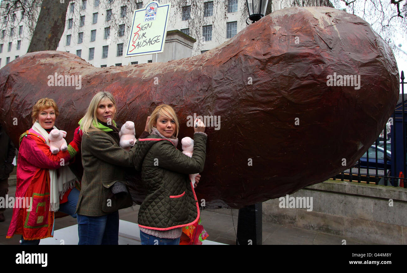 (De gauche à droite) Christine Hamilton, Sharron Davies et Liz McClarnon au rassemblement Sign Our Sauser organisé par la National Pig Association, où des centaines d'éleveurs de porcs de tout le Royaume-Uni sont venus à Whitehall à Londres pour faire campagne pour une offre équitable auprès des supermarchés et des transformateurs. Banque D'Images