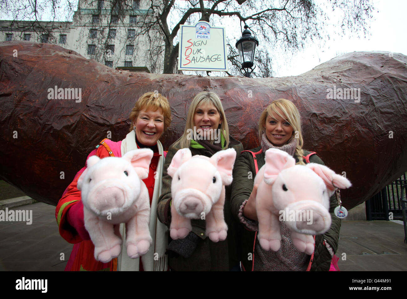 (De gauche à droite) Christine Hamilton, Sharron Davies et Liz McClarnon au rassemblement Sign Our Sauser organisé par la National Pig Association, où des centaines d'éleveurs de porcs de tout le Royaume-Uni sont venus à Whitehall à Londres pour faire campagne pour une offre équitable auprès des supermarchés et des transformateurs. Banque D'Images