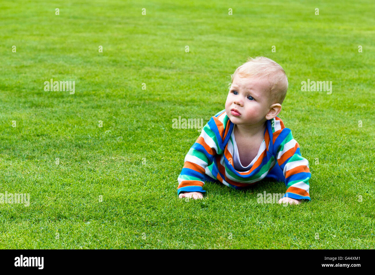 Portrait D Un Bebe Ramper Sur L Herbe Photo Stock Alamy
