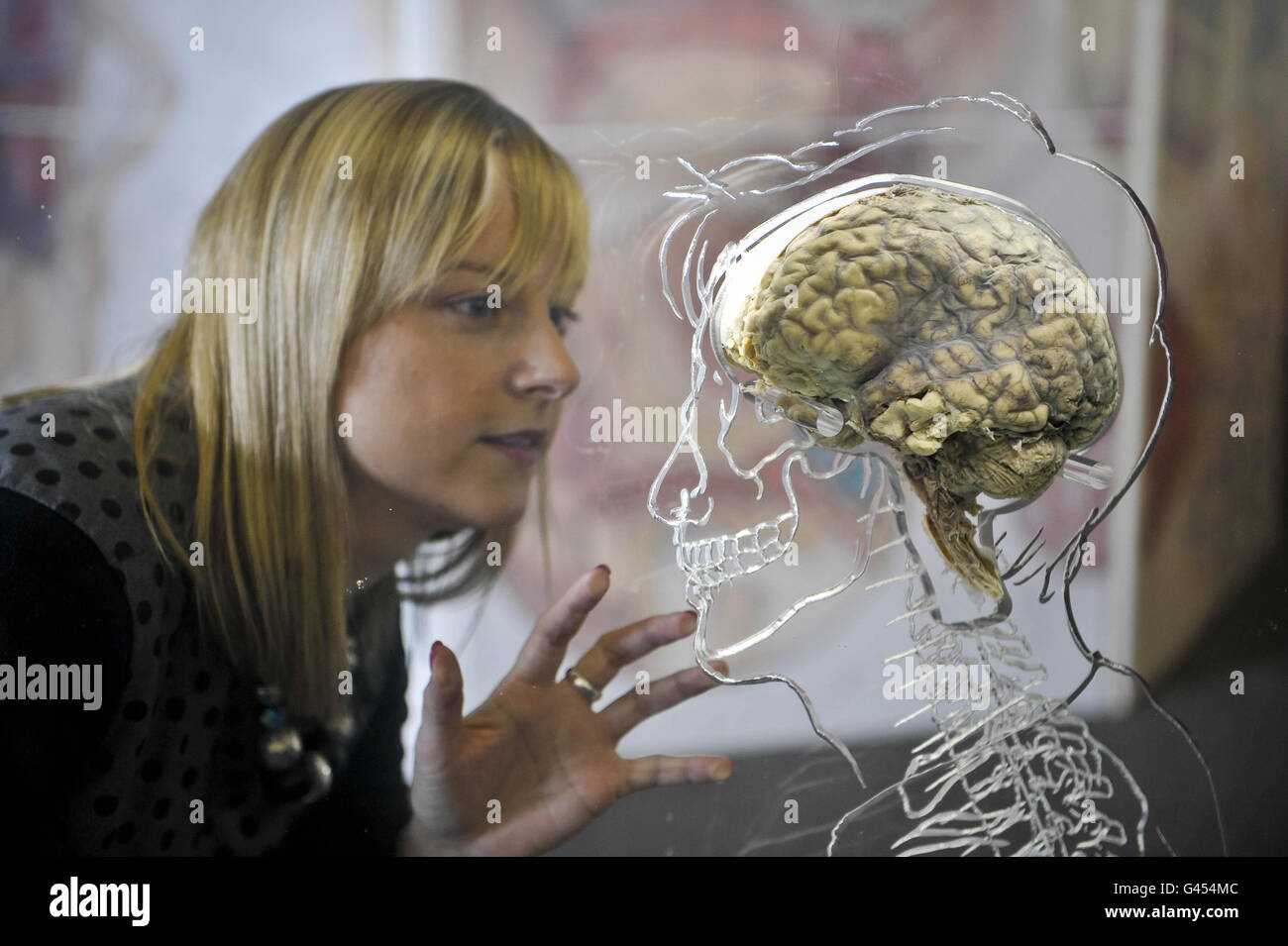 Kerrie Grist, de @Bristol science attraction, inspecte un vrai cerveau humain suspendu dans liquide avec un squelette à l'échelle, le système nerveux central et la silhouette humaine sculptée dans l'acrylique, alors que la nouvelle exposition intitulée "tout sur nous" se prépare à ouvrir au public le vendredi 11 mars. Banque D'Images