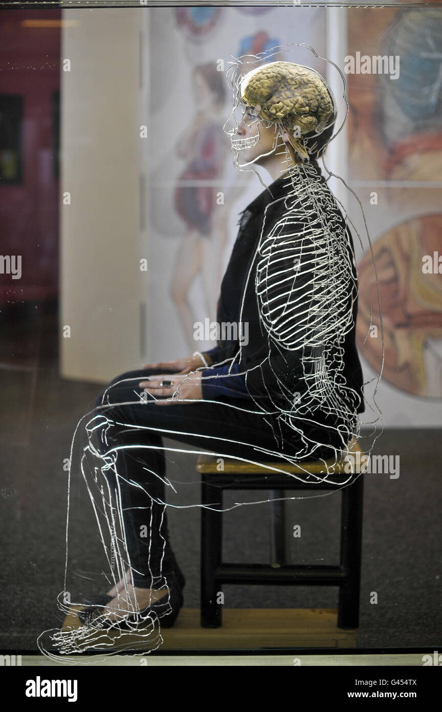 L'exposition du cerveau à Bristol Banque D'Images