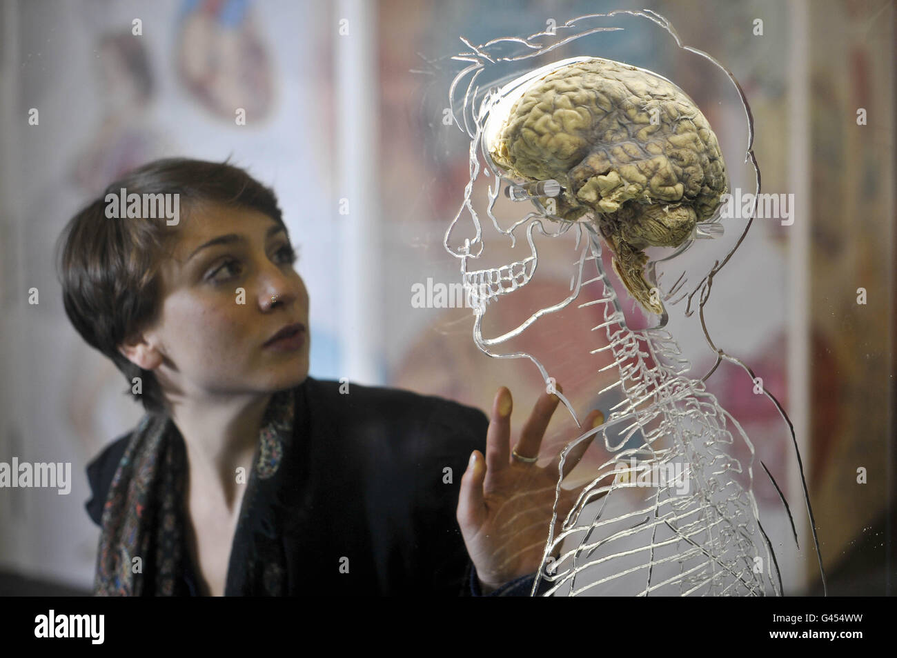 L'exposition du cerveau à Bristol Banque D'Images