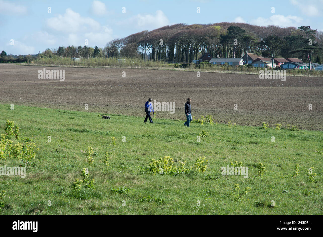 Les gens qui marchent dans un champ Banque D'Images
