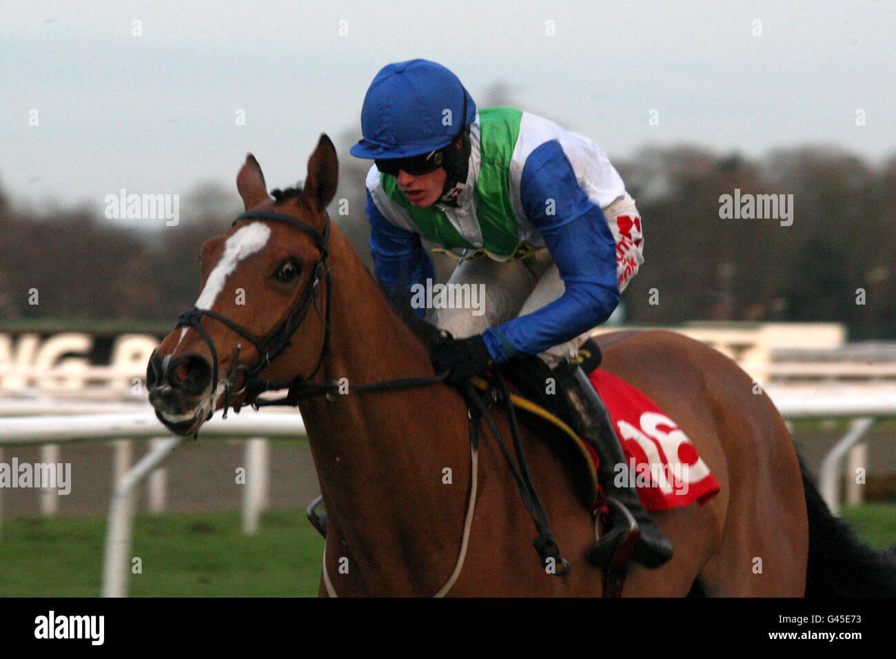 Les courses de chevaux - le jour Chase - Kempton Park Racecourse Banque D'Images