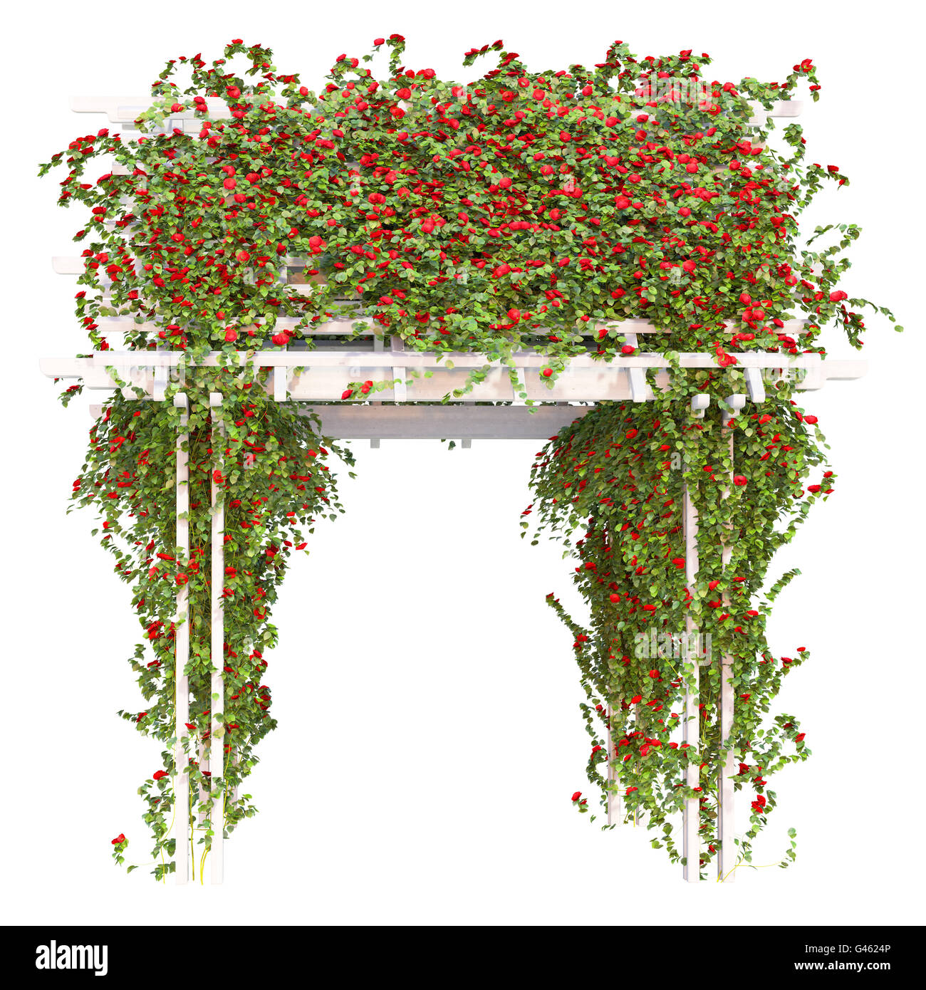 Les buissons de roses rouges pergola Banque D'Images