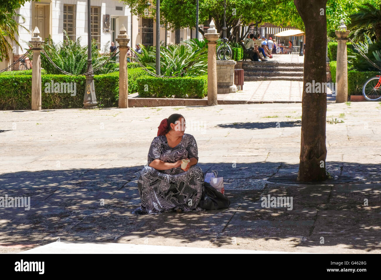 Femme mendiant sous arbre orange en face de la cathédrale de Málaga, Andalousie, espagne. Banque D'Images