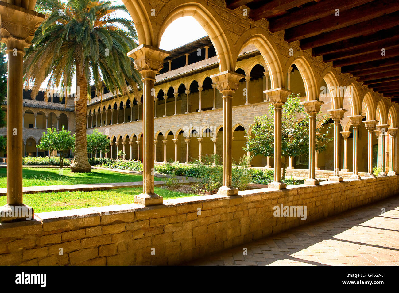 Clpalm treeoister du monestir de Pedralbes à Barcelone Banque D'Images