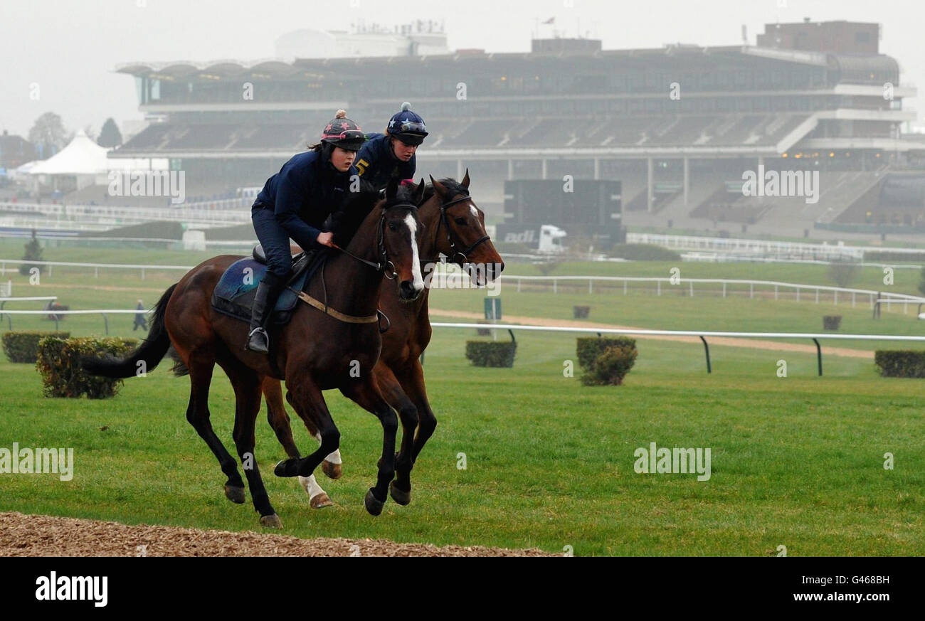 Courses hippiques - 2011 Cheltenham Festival - deuxième jour.Des cavaliers sur les gallops pendant la journée des dames à l'hippodrome de Cheltenham. Banque D'Images