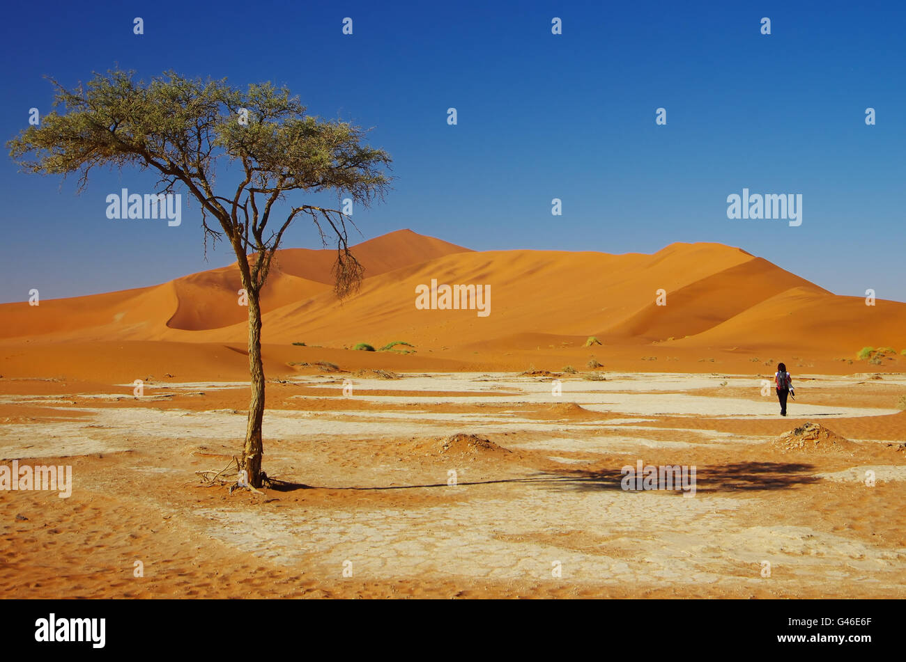 Errant dans le désert Banque D'Images