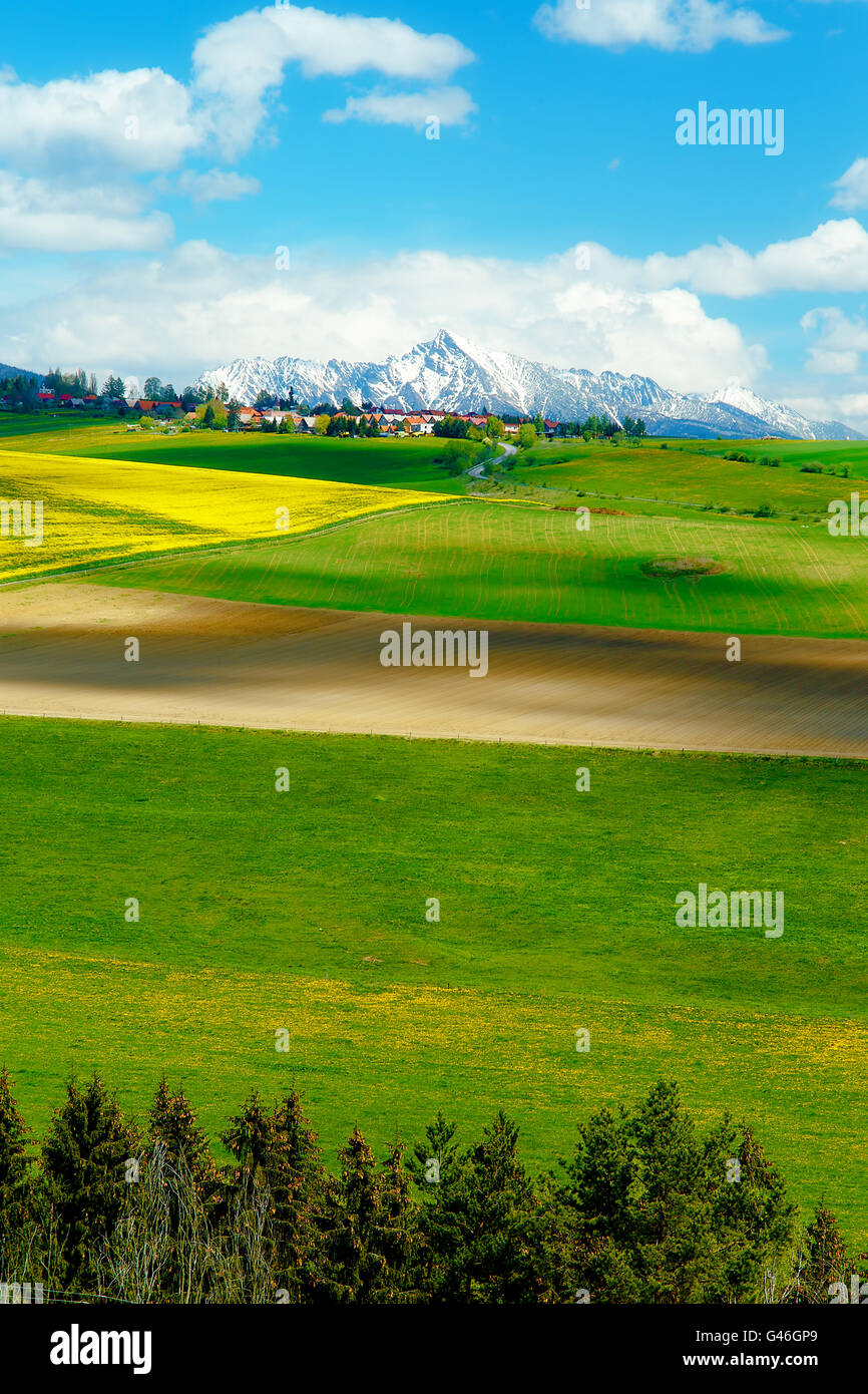 Beau paysage, vert et jaune prairie avec terrain et la neige sur la montagne et le village. La Slovaquie, l'Europe centrale, la région de Liptov, Mountain High Tatry. Banque D'Images