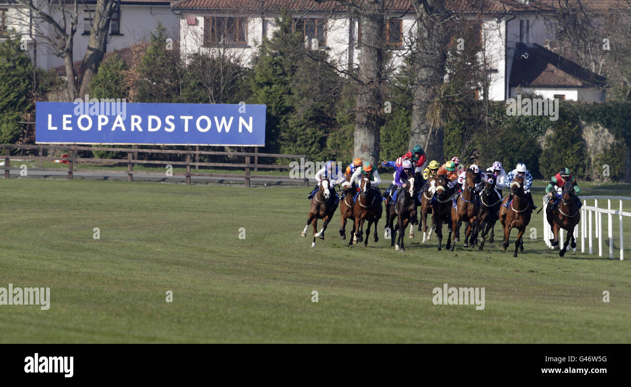 Une vue générale des coureurs et des cavaliers dans le Follow Leopardstown sur facebook handicap pendant la 1,000 &amp; 2,000 Guinéas Trial Day au Leopardstown Racecourse, Dublin, Irlande. Banque D'Images