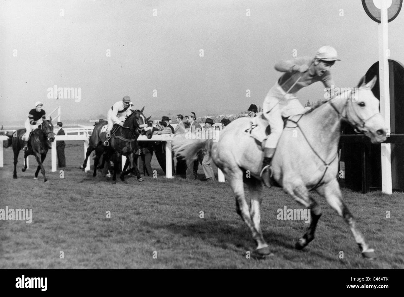 Les courses de chevaux - le Grand National Aintree - Banque D'Images