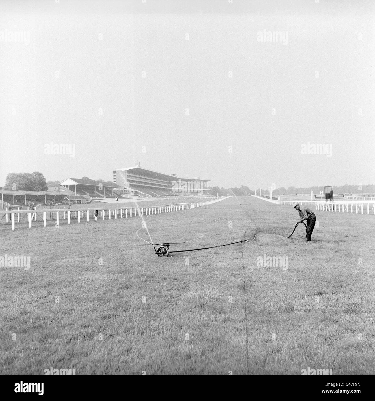 Le cours à l'Ascot est donné un bon arrosage dedans Préparation pour Royal Ascot la semaine prochaine Banque D'Images