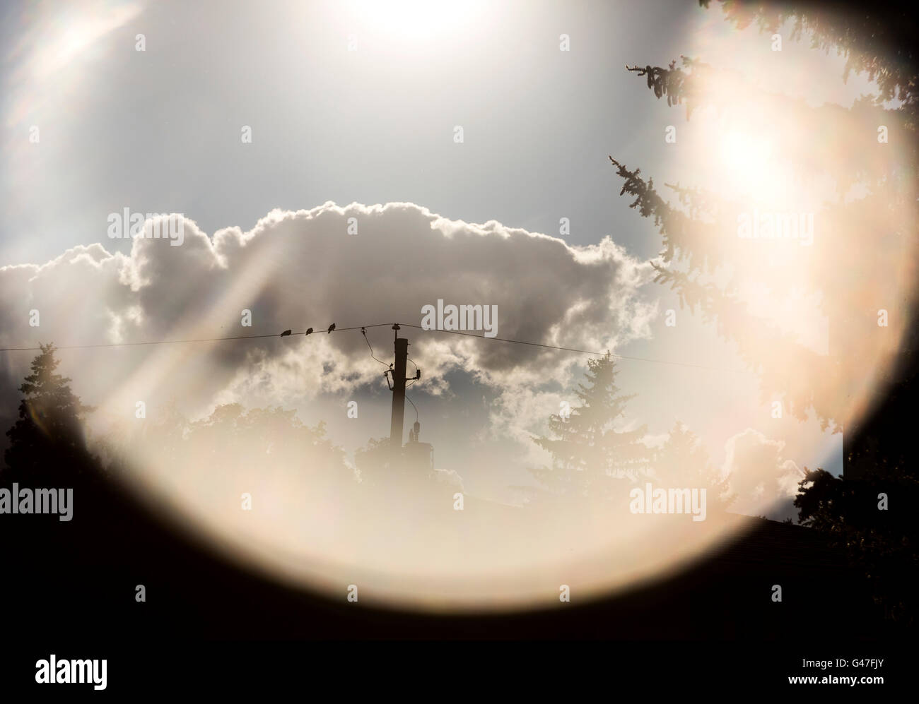 Oiseaux posés sur un fil téléphonique sur un après-midi ensoleillé avec un sun flare, ciel bleu et des nuages. Banque D'Images Oiseaux posés sur un fil téléphonique sur un après-midi ensoleillé avec un sun flare, ciel bleu et des nuages. Banque D'Images