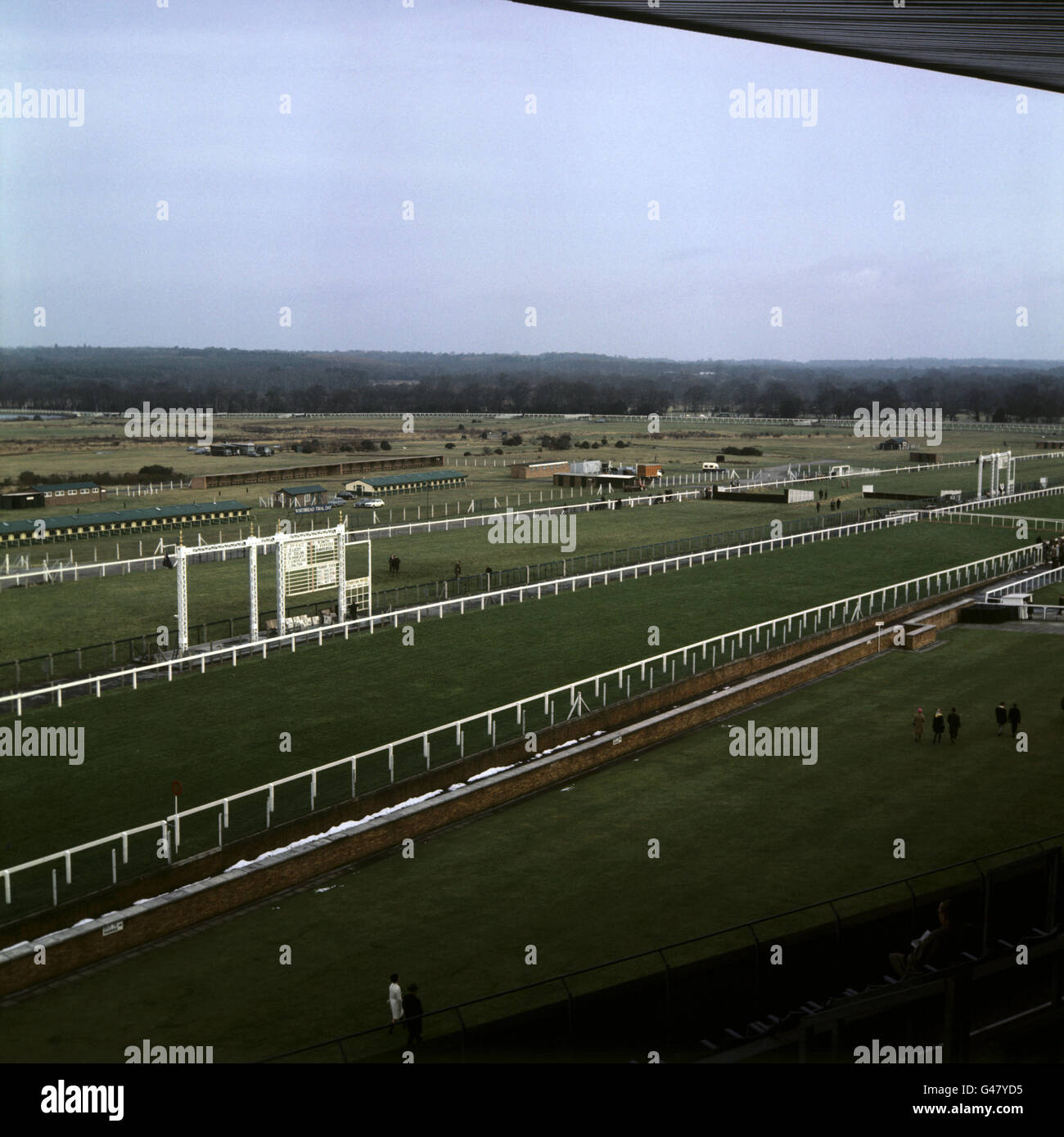 Courses hippiques - Hippodrome d'Ascot. Vue générale sur l'hippodrome d'Ascot depuis les stands Banque D'Images