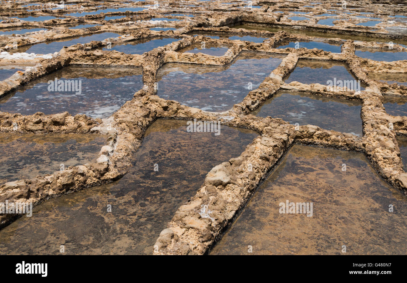 Anciennes Salines sur le coût à Qbaijar près de Marsalforn, Gozo, Malte Banque D'Images