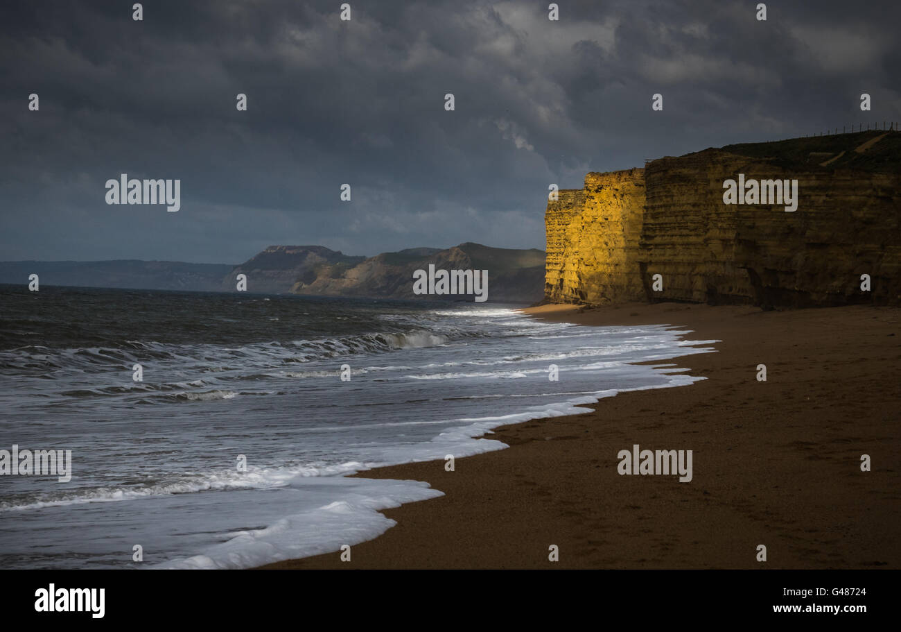 Arbre de lumière sur les falaises à Burton Bradstock, Dorset Banque D'Images