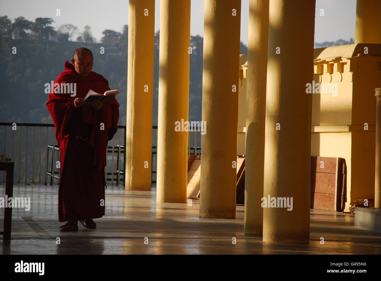 Des moines bouddhistes dans la région de Dharamsala, Inde Banque D'Images