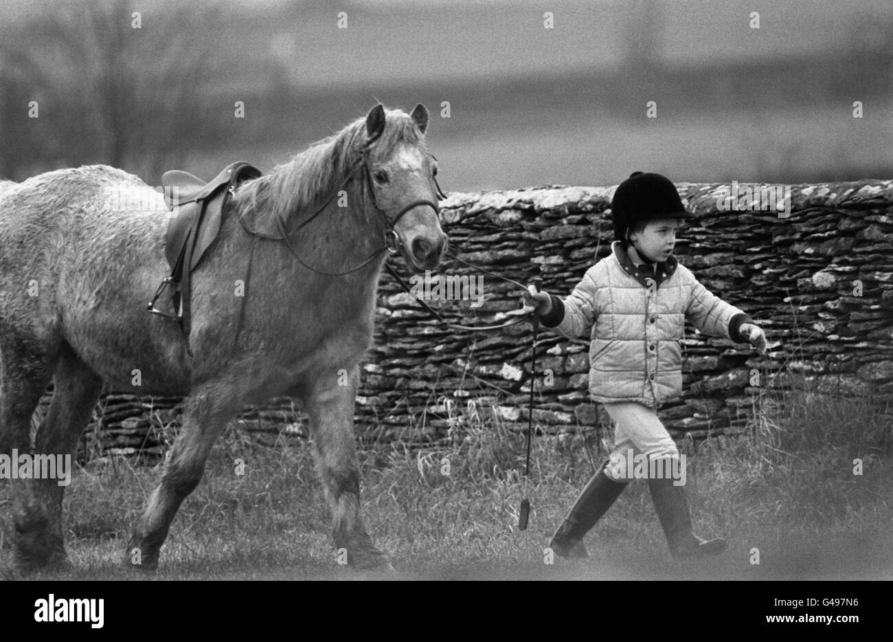 Le Prince William dirige un poney près de sa maison sur le domaine de Highgrove à Gloucestershire Banque D'Images