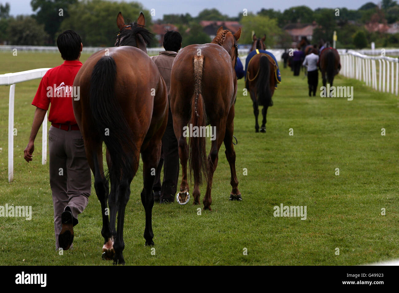 Courses hippiques - 2011 Dante Festival - Emirates Airline Yorkshire Cup Day - York Racecourse.Les chevaux a réchauffés après leur course comme ils sont en tête autour des galops Banque D'Images