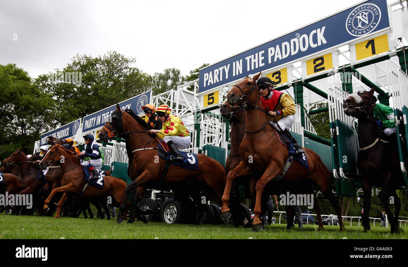 Les coureurs se délaissent de la stalle pour les enjeux de handicap de la Charity Scope lors de la journée de course de la Charity Scope à Newbury Raceourse. Banque D'Images