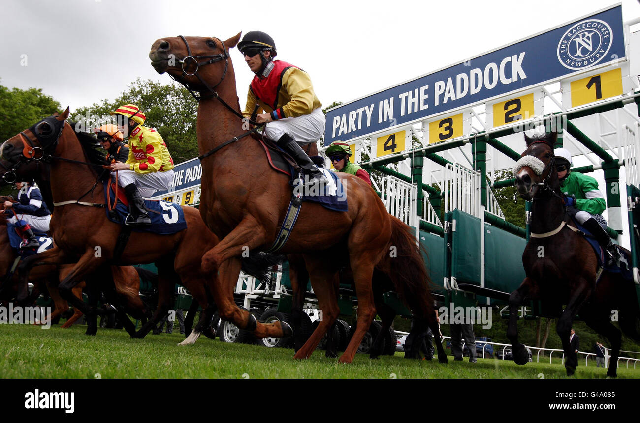 Les coureurs se cassent des stalles pour les enjeux de handicap de la Charity Scope lors de la Journée de course de la Charity Scope à Newbury Raceourse. Banque D'Images