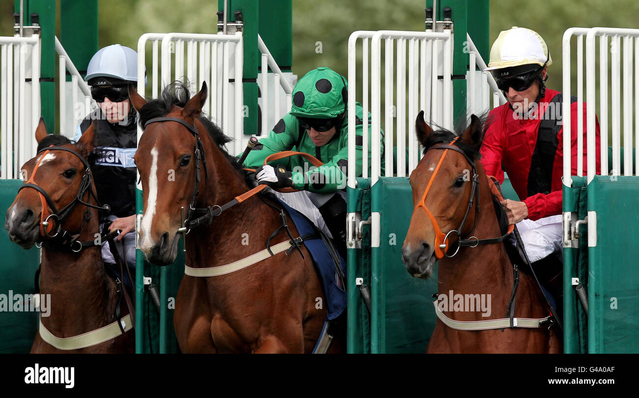Les courses de chevaux - portée le jour de la course de bienfaisance - Newbury Raceourse Banque D'Images