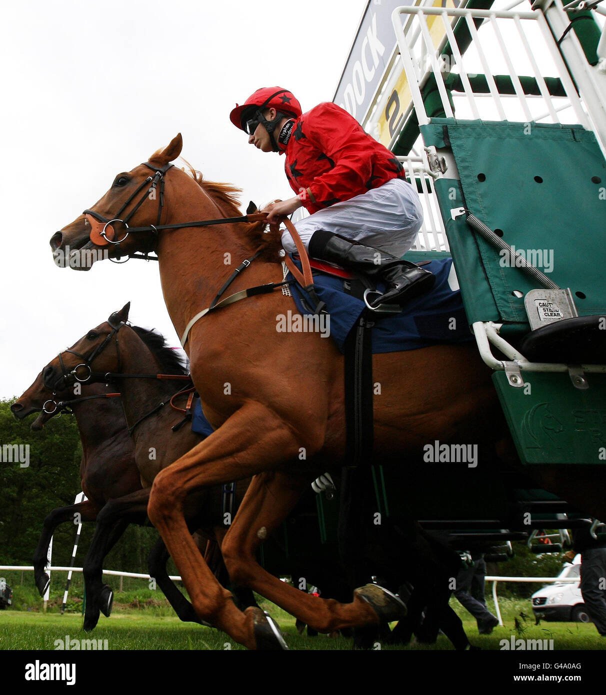 El Mansour, monté par Luke Morris, se brise des stalles pour les piquets de handicap de la portée lors de la Journée de la course caritative de la portée à Newbury Raceourse. Banque D'Images