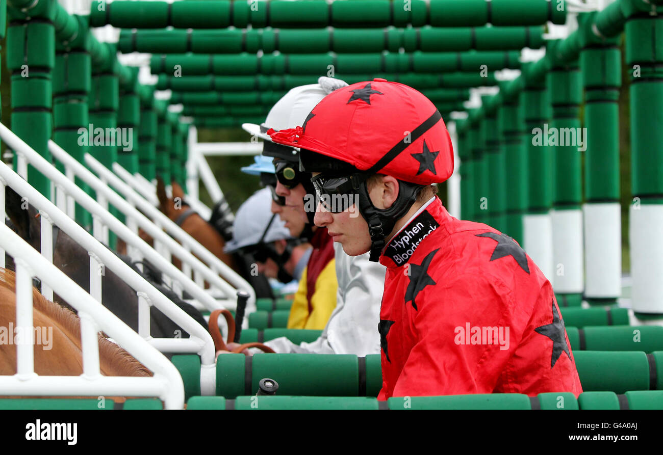 Les courses de chevaux - portée le jour de la course de bienfaisance - Newbury Raceourse Banque D'Images
